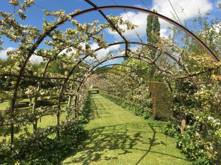 Jardin du Plessis Sasnieres