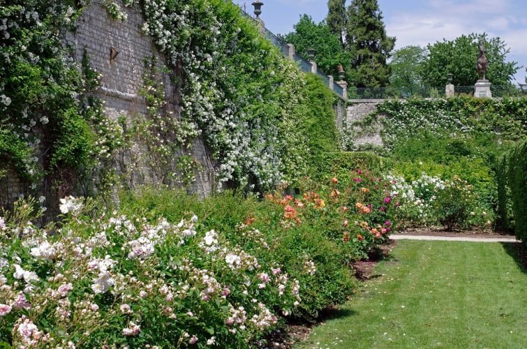 visiter Loir-et-Cher - Roseraie Blois