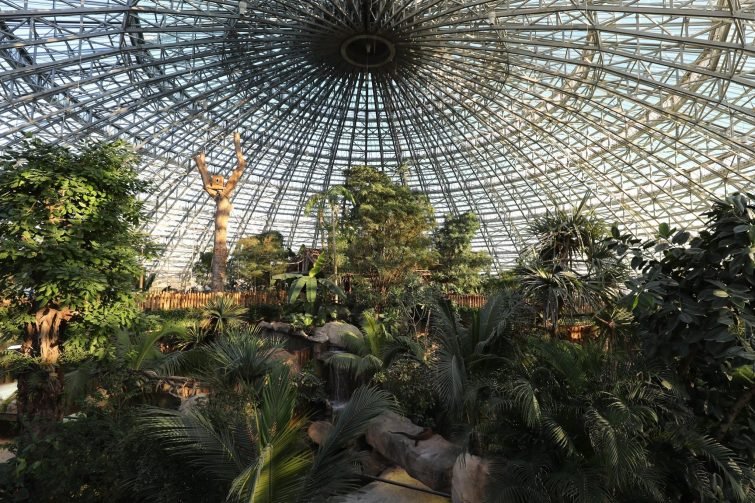 dome equatorial