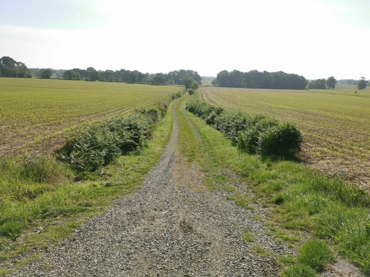 randonnees-landes